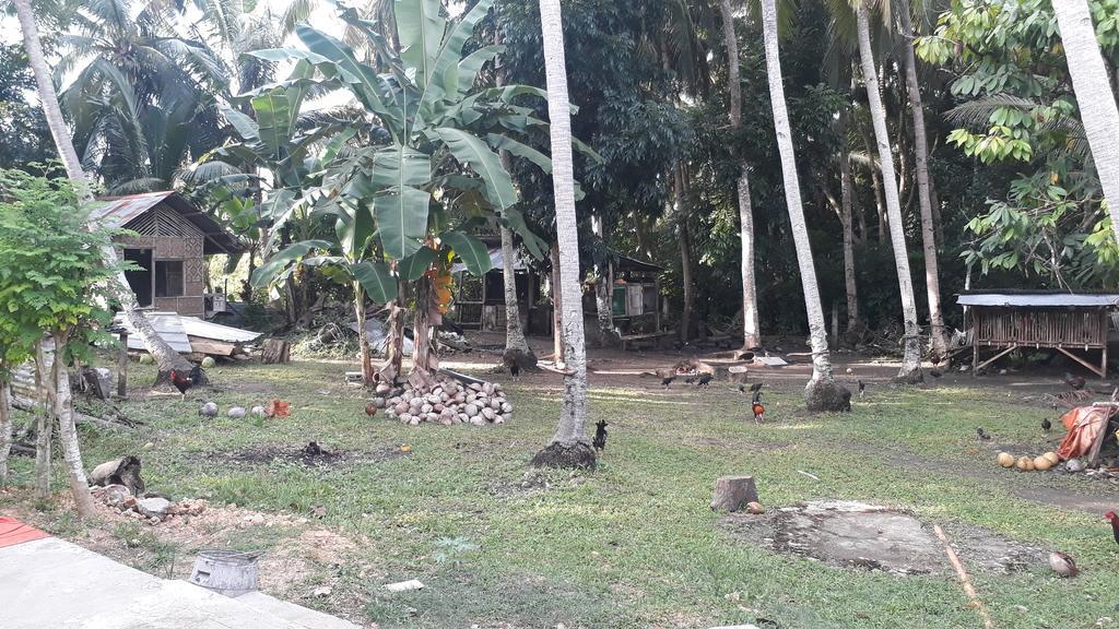 James Homestay Siquijor Exteriör bild